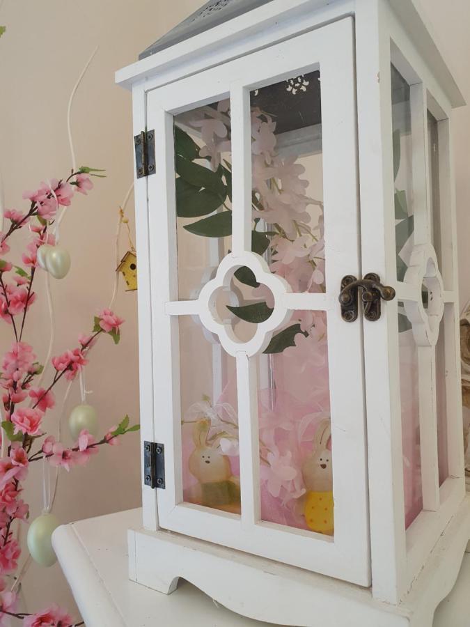 B&B Villa Maria Terni Exteriör bild