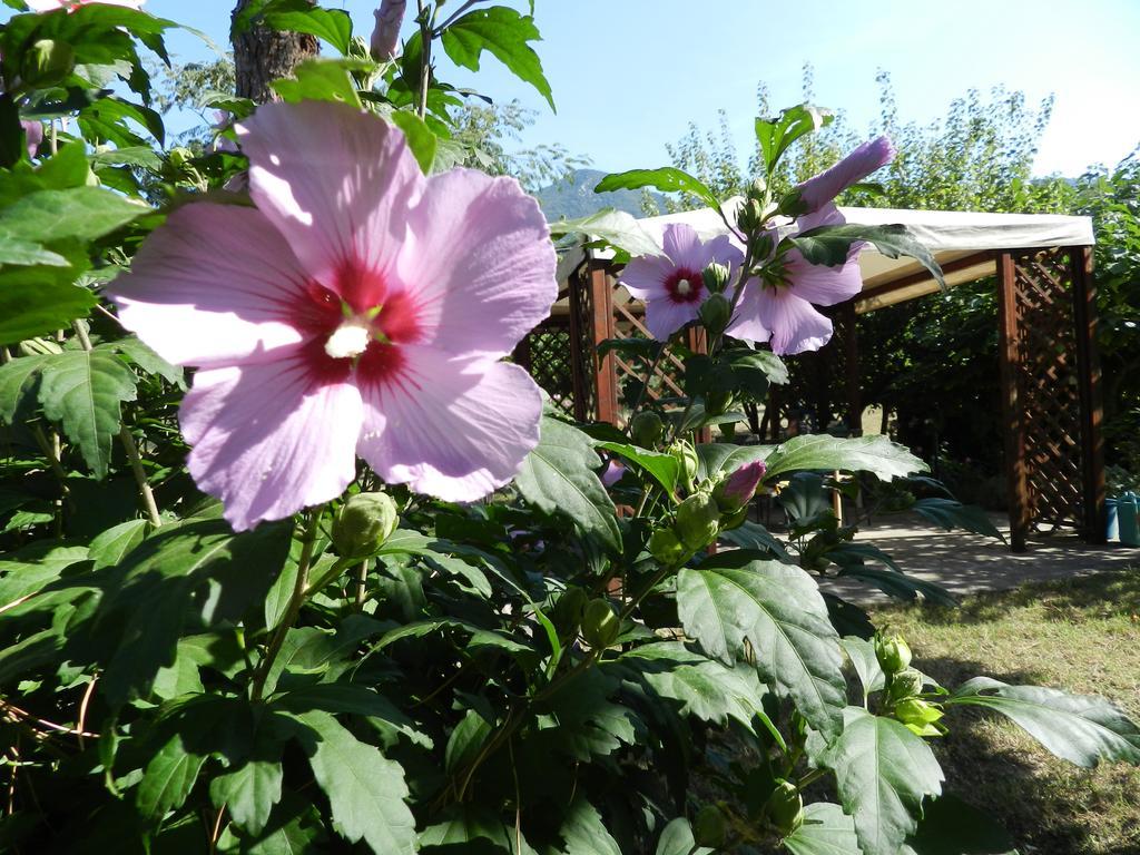 B&B Villa Maria Terni Exteriör bild
